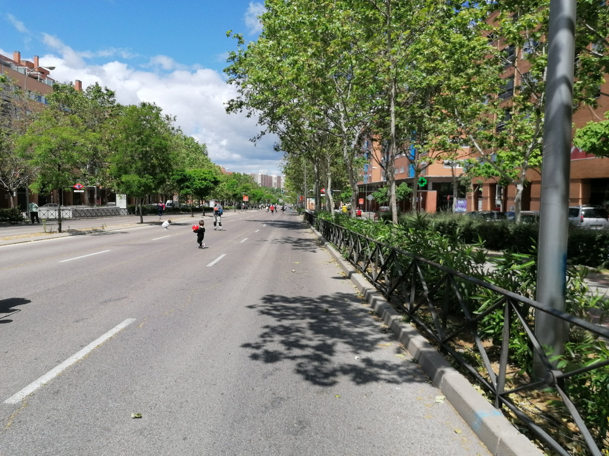 Madrid plantará 7.500 árboles en calles y zonas verdes